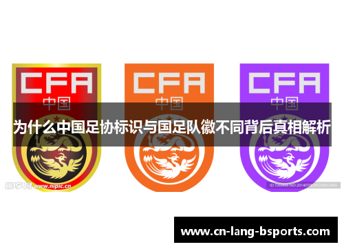 为什么中国足协标识与国足队徽不同背后真相解析