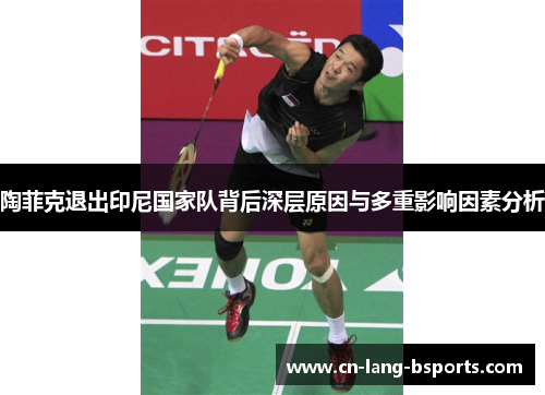 陶菲克退出印尼国家队背后深层原因与多重影响因素分析