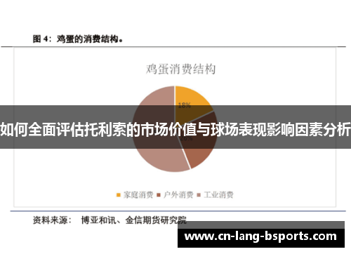 如何全面评估托利索的市场价值与球场表现影响因素分析