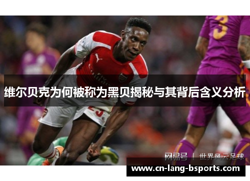 维尔贝克为何被称为黑贝揭秘与其背后含义分析