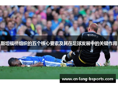 斯坦福桥组织的五个核心要素及其在足球发展中的关键作用 斯坦福桥组织的五个核心要素及其在足球发展中的关键作用