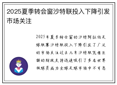 2025夏季转会窗沙特联投入下降引发市场关注 2025夏季转会窗沙特联投入下降引发市场关注